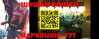 СК Гусь-Хрустальный